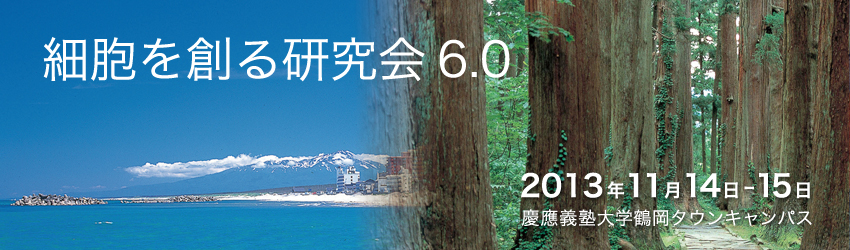 年次研究会